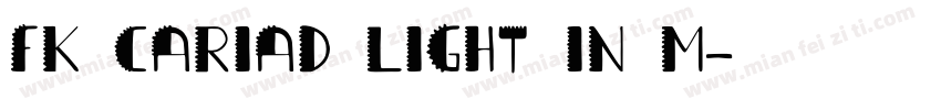 FK CARIAD Light in M字体转换